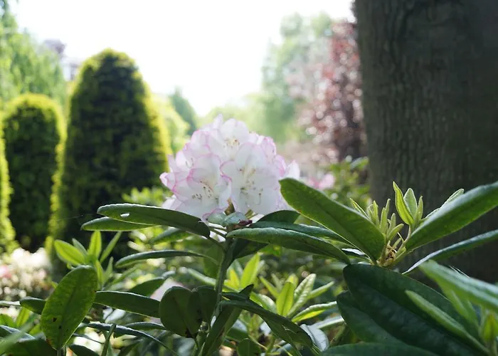 Bed and Breakfast Eersel's Eersel