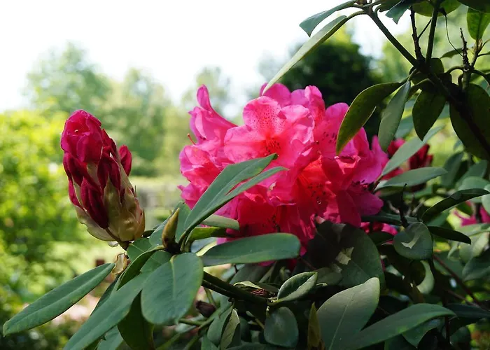 Panzió Eersel's Eersel